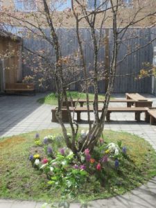 s_img_1796