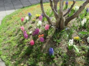 s_img_1801
