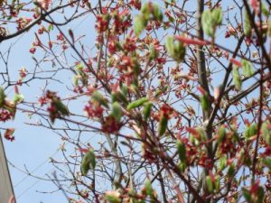 s_img_1805