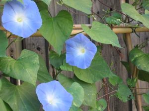 s_img_2709