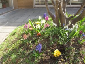 s_img_3991