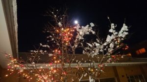s_dsc_0891