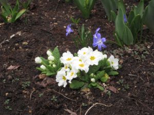 s_img_5749