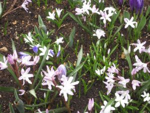 s_img_5752