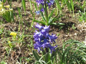 s_img_5755