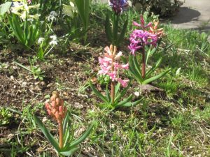 s_img_5756