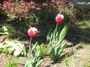img_5805