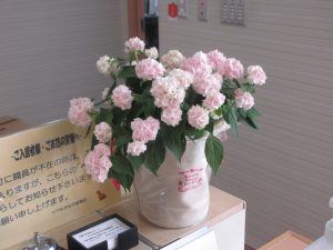 img_5820