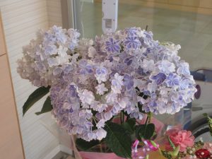 img_5822