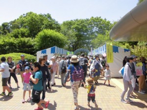 CIMG0613