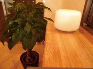 CIMG0639