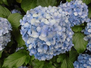 CIMG0778