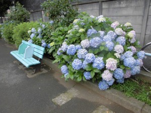 CIMG0782