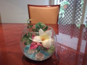 dscf2504