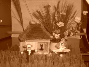 cimg0885