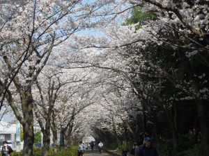 dscn1800
