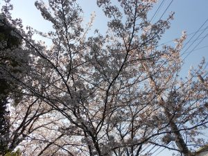 dscn1843