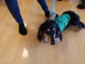 img_20180714_135219